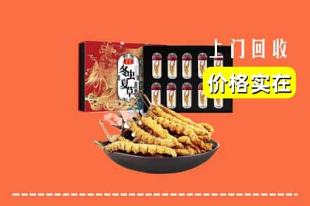 徐州市贾汪回收虫草
